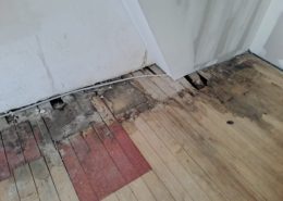 WhatsApp Image at ()